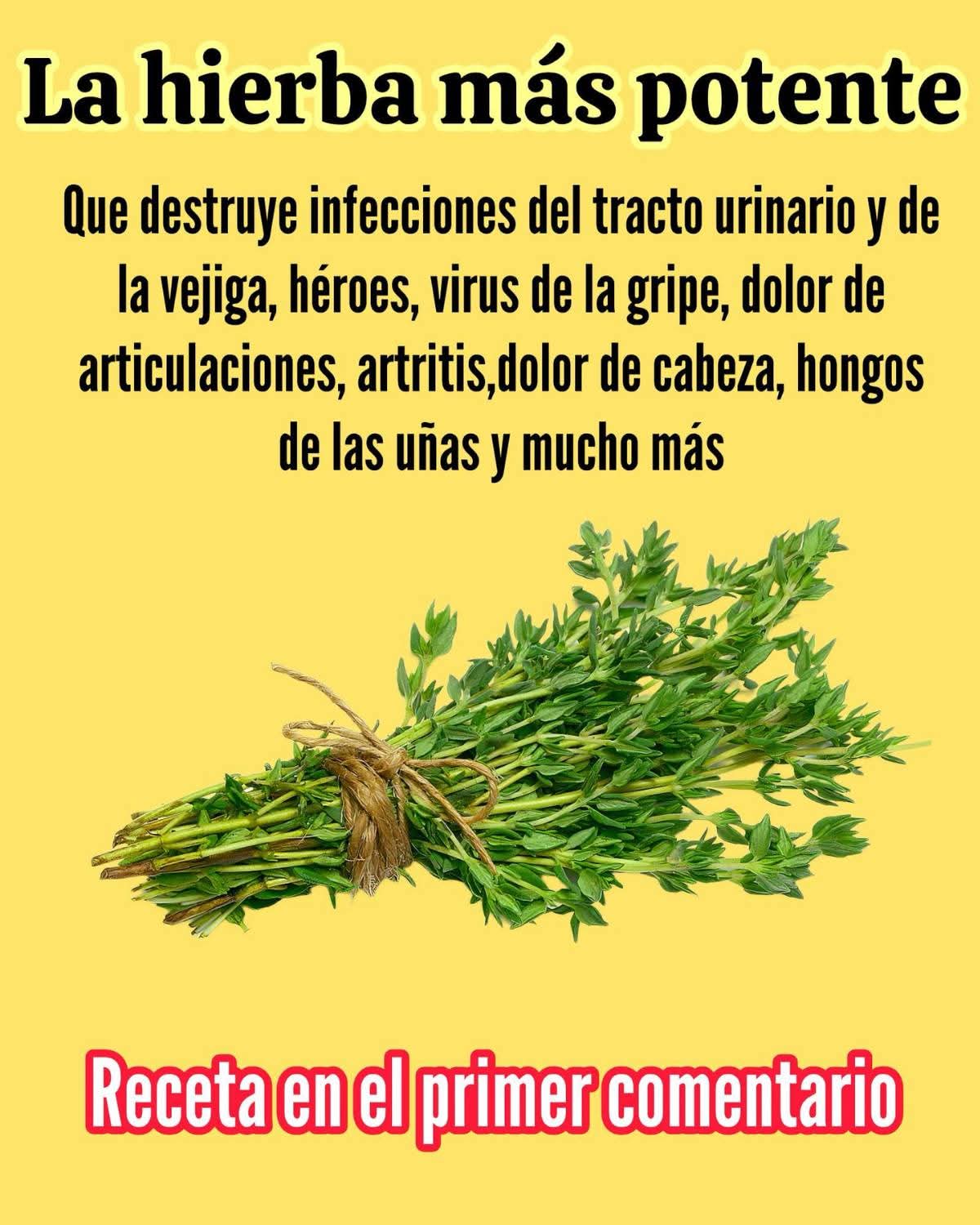 La hierba más potente del cuerpo que ayuda a desinfla..ver mas